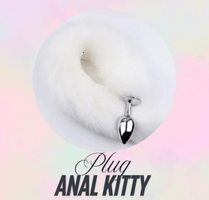 Plug Anal