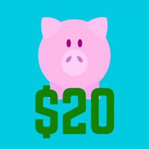 20 Dollar Tribute