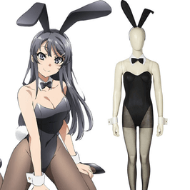 Bunny Girl Cosplay