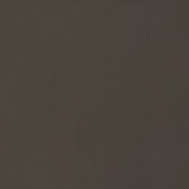 Tip