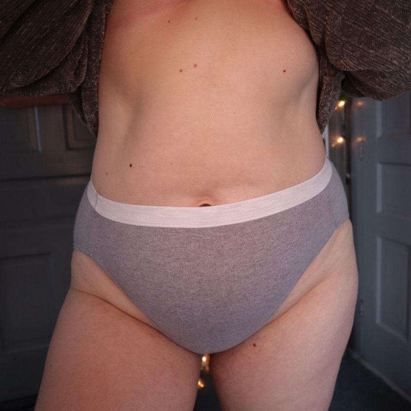 HIgh waisted Brief panty