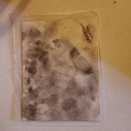 ART5: Foot Filth Prints