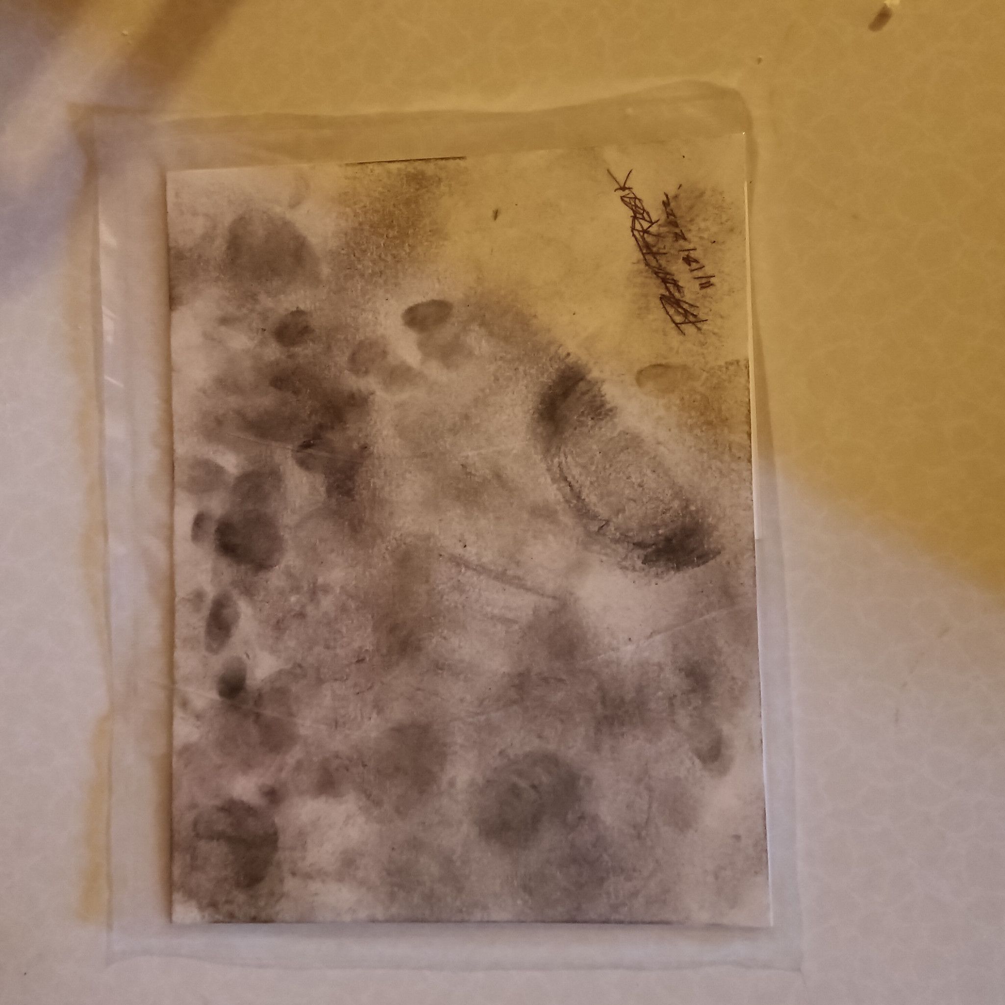 ART5: Foot Filth Prints