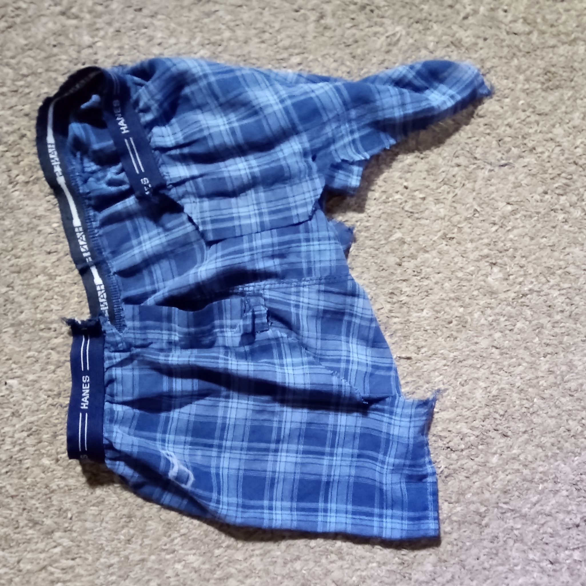 M11: Thanksgiving Boxer Shorts 11242022  Sat QA 11262022