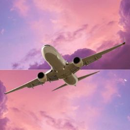 Cover my next trip and get LIFETIME CONTENT