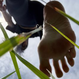 Printed and Signed Photo