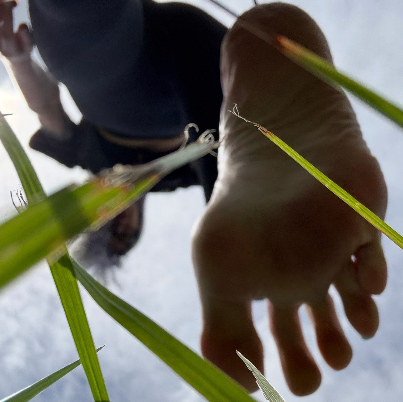 Printed and Signed Photo