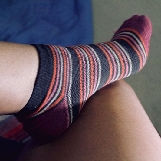 Ankle House Socks