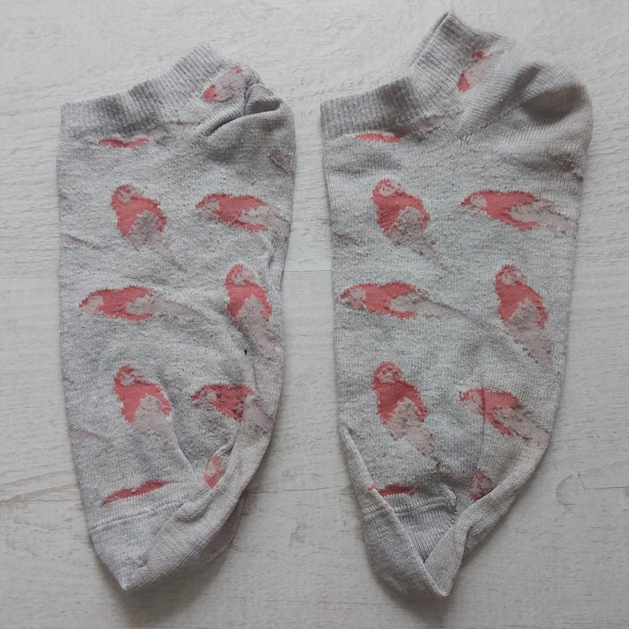 Grey parakeet ankle socks