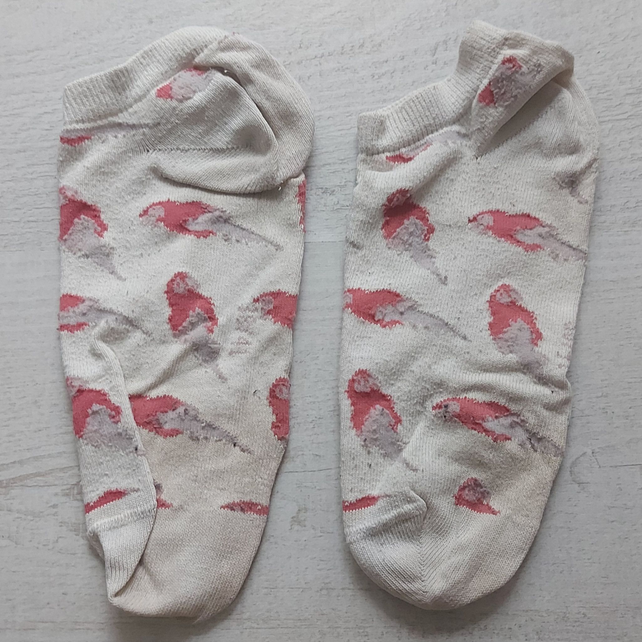 White parakeet ankle socks