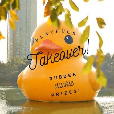 Takeover Surprise Duckies