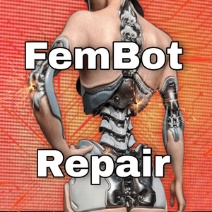 Fembot Repair