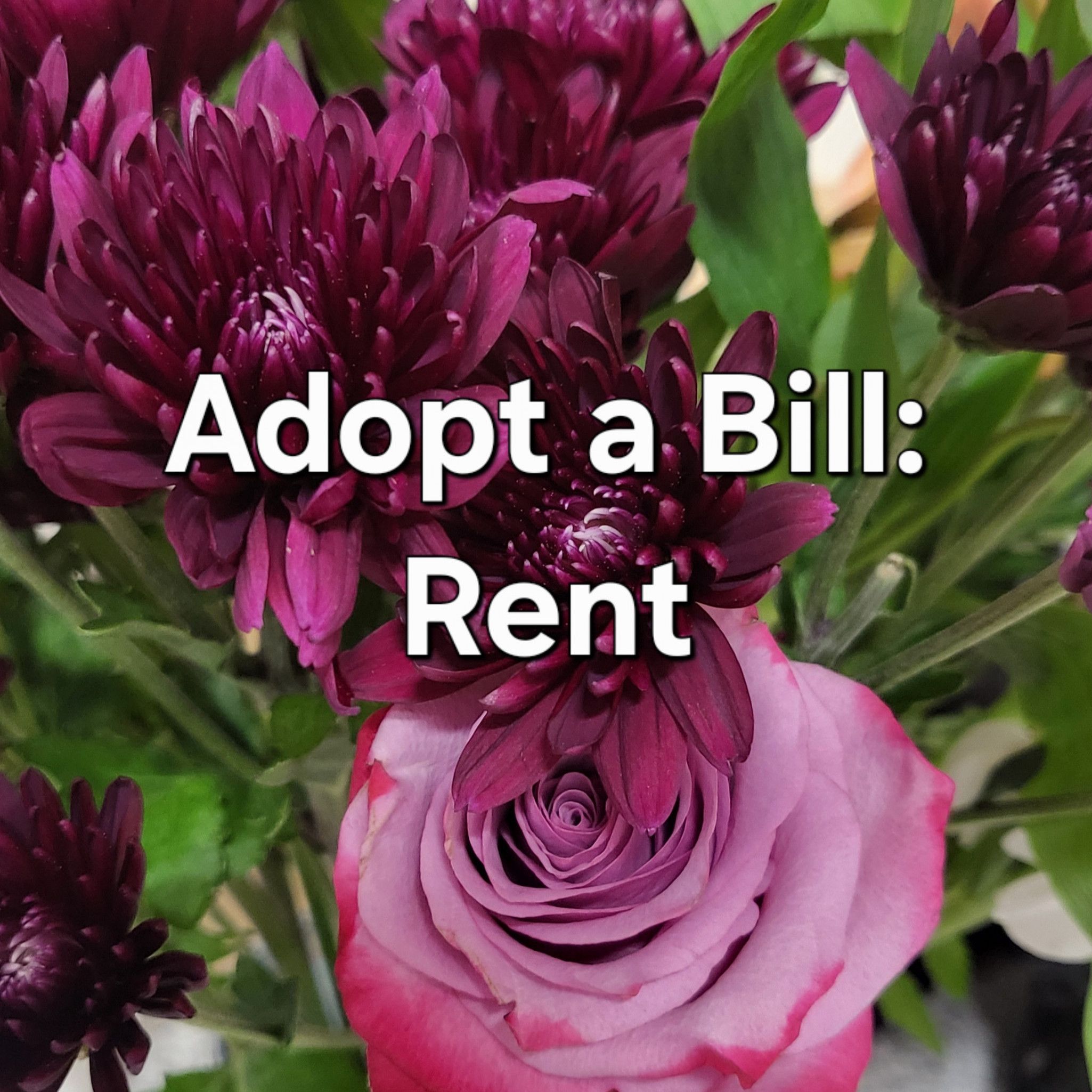Adopt a Bill: Rent