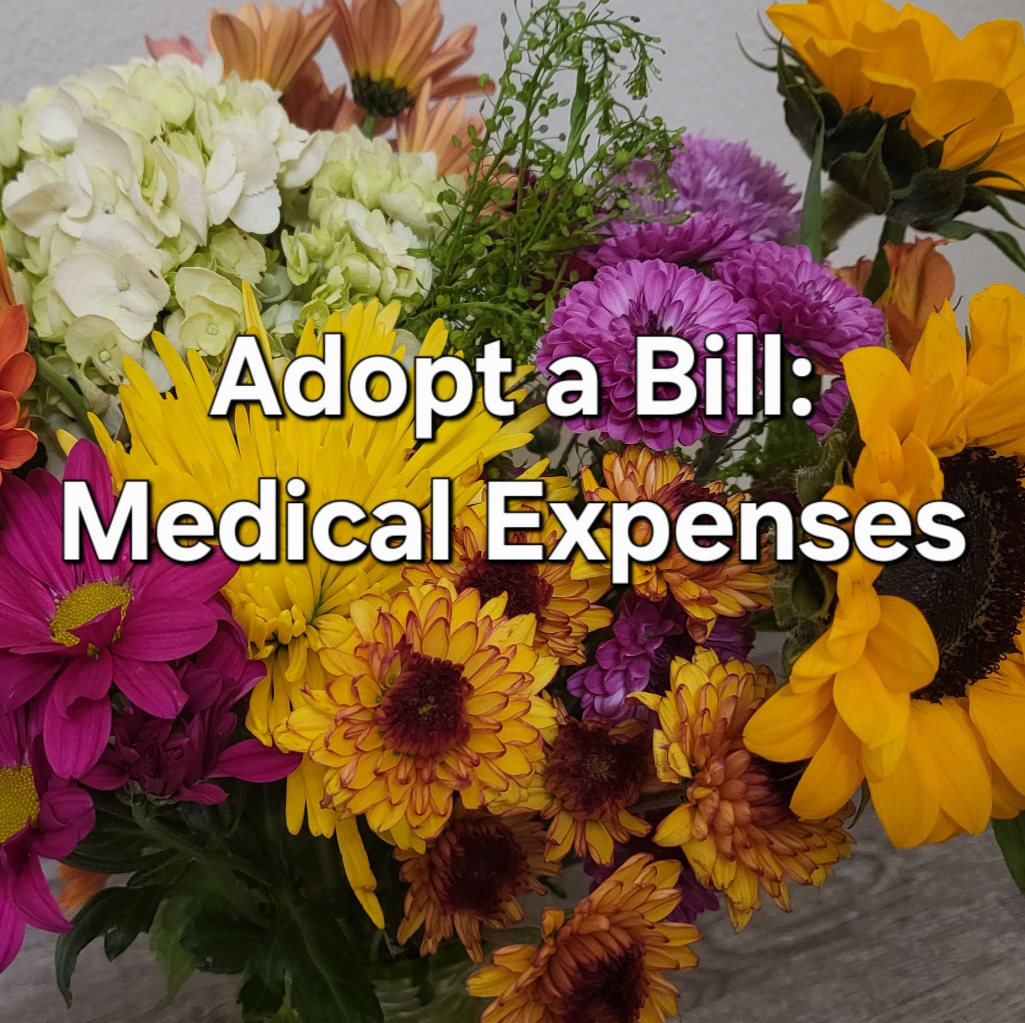 Adopt a Bill: Medical Expenses