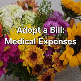 Adopt a Bill: Medical Expenses