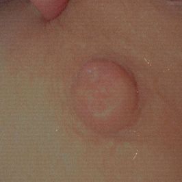 Lick my tits