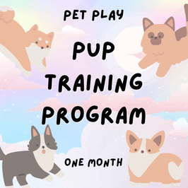 Petplay: one month training program