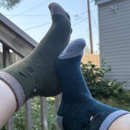 well worn cat socks