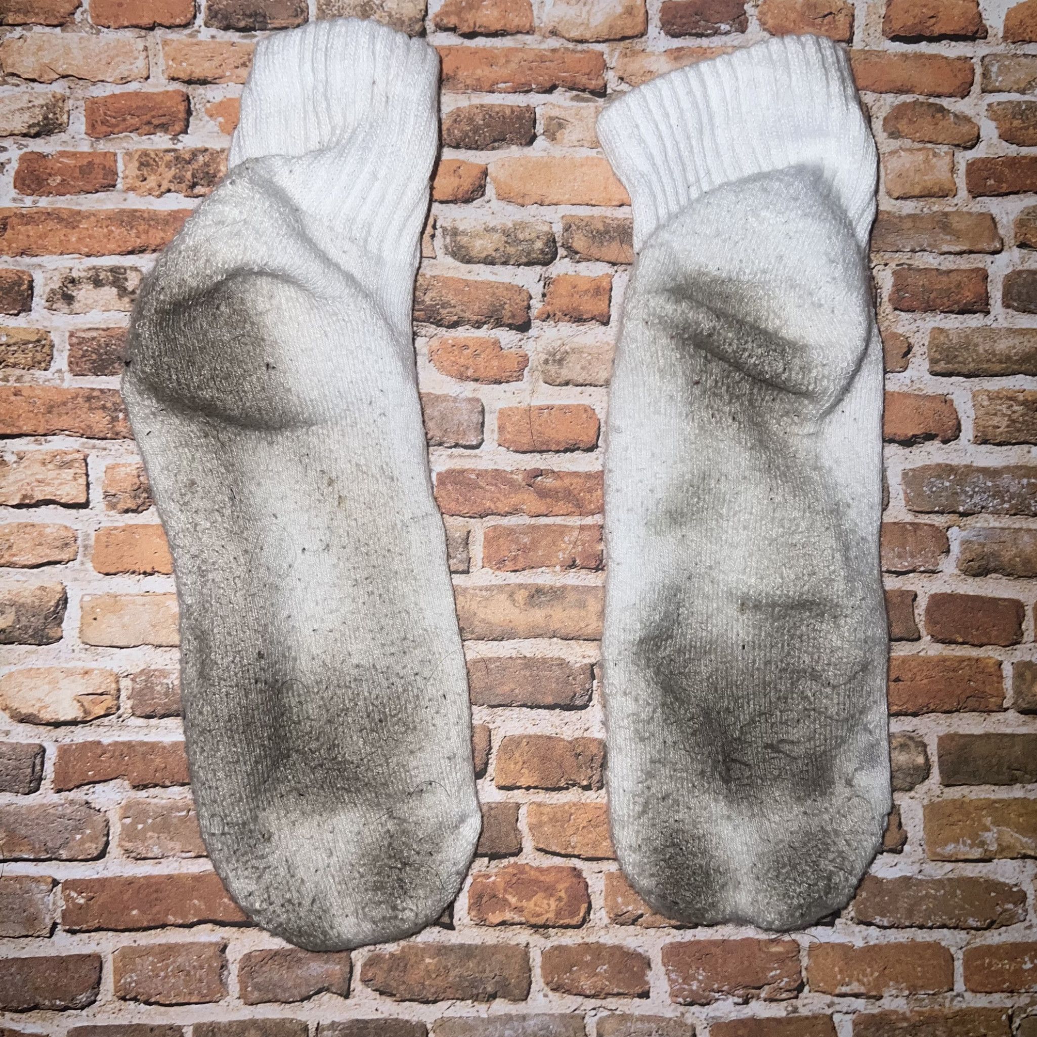 Filthy socks