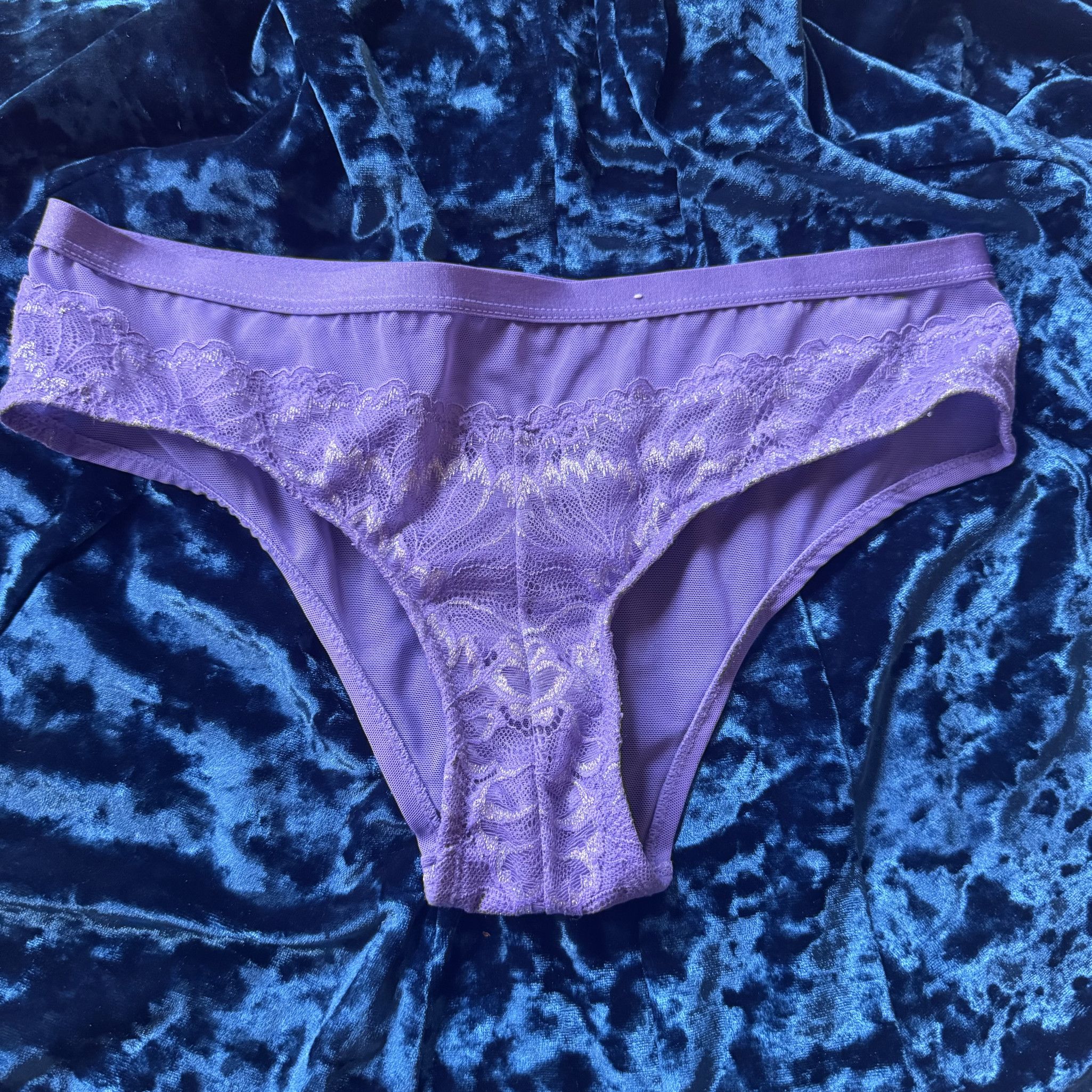 Purple Scalloped Lace Mesh Briefs