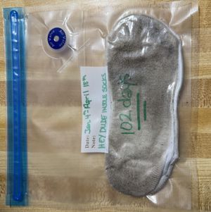 Worn Hey Dude socks