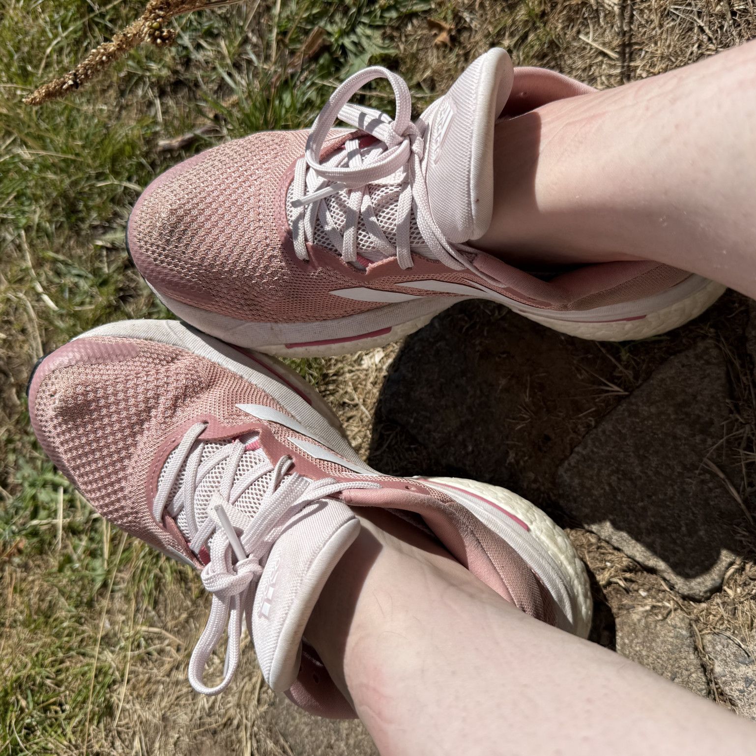 Old smelly trainers