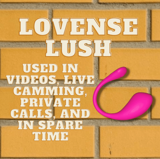 Lovense Lush of Cam Model RixyRose