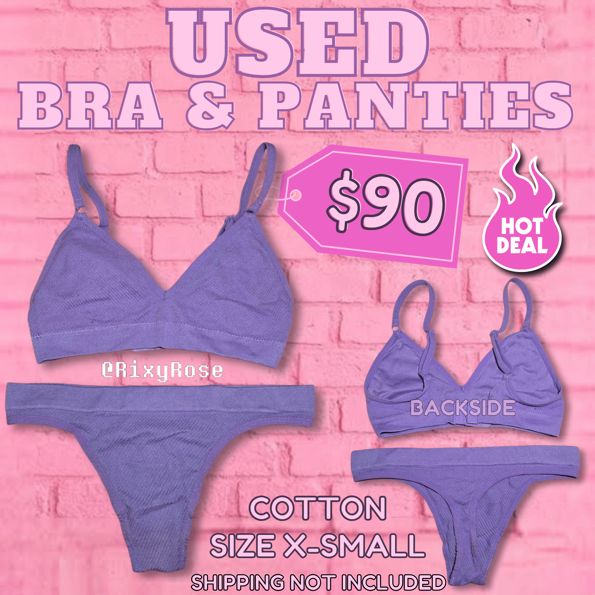 Used Lavender Colored Bra and Panties