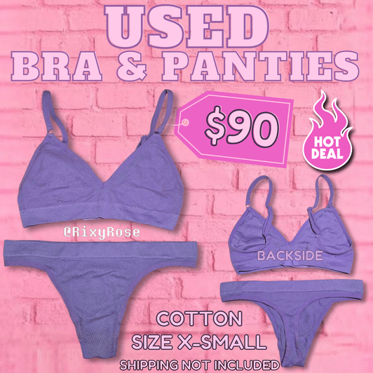 Used Lavender Colored Bra and Panties