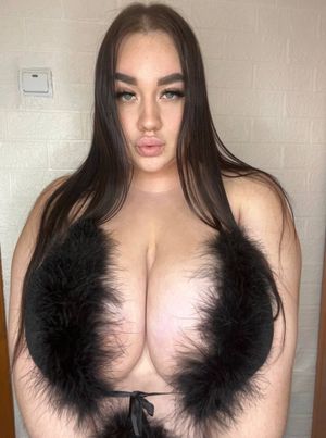 all my videos