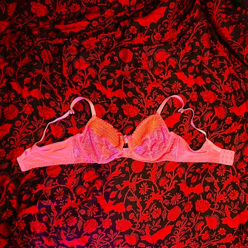 Pink Bra from Ovipositor Slime Bukkake