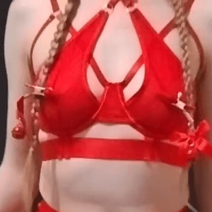 Santa Sage Red Strappy Bondage Lingerie