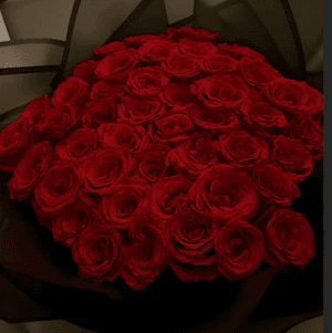 Flowers for me ✨