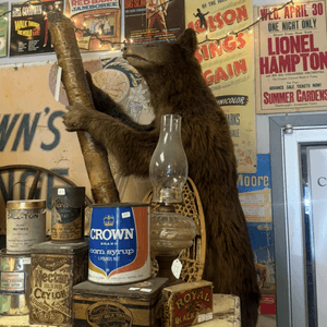 Buy Me a Trinket