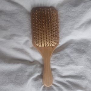 Used Hairbrush