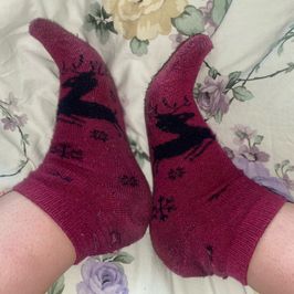 Warm Socks