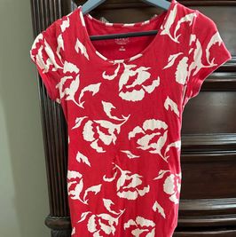 Dress Worn In Preggo Video