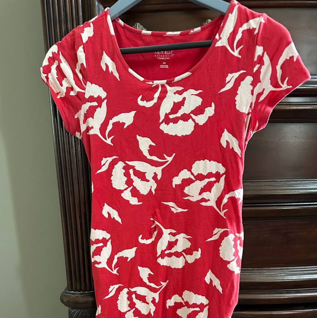 Dress Worn In Preggo Video