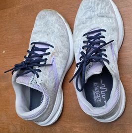 Well Worn Brooks Running Shoes
