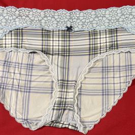 Light blue plaid panties