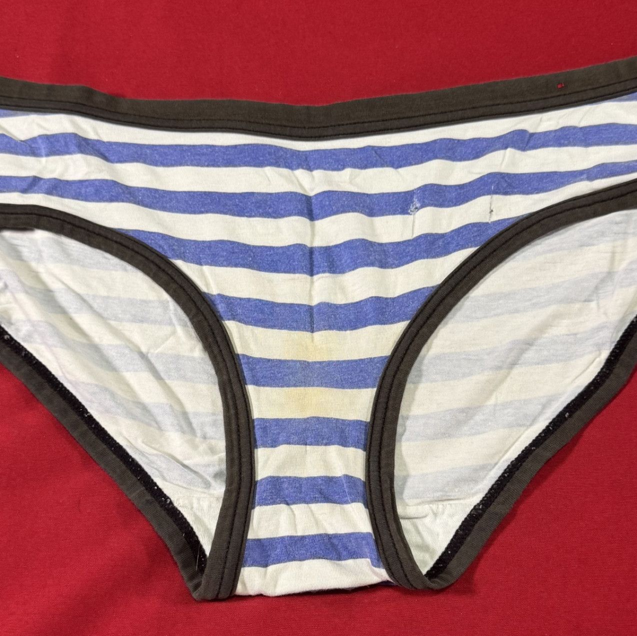 White and blue striped panties