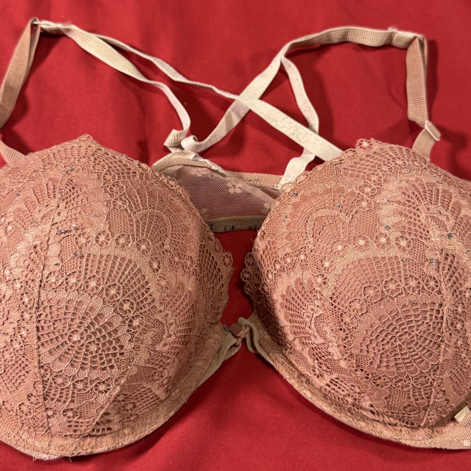 Coral bra