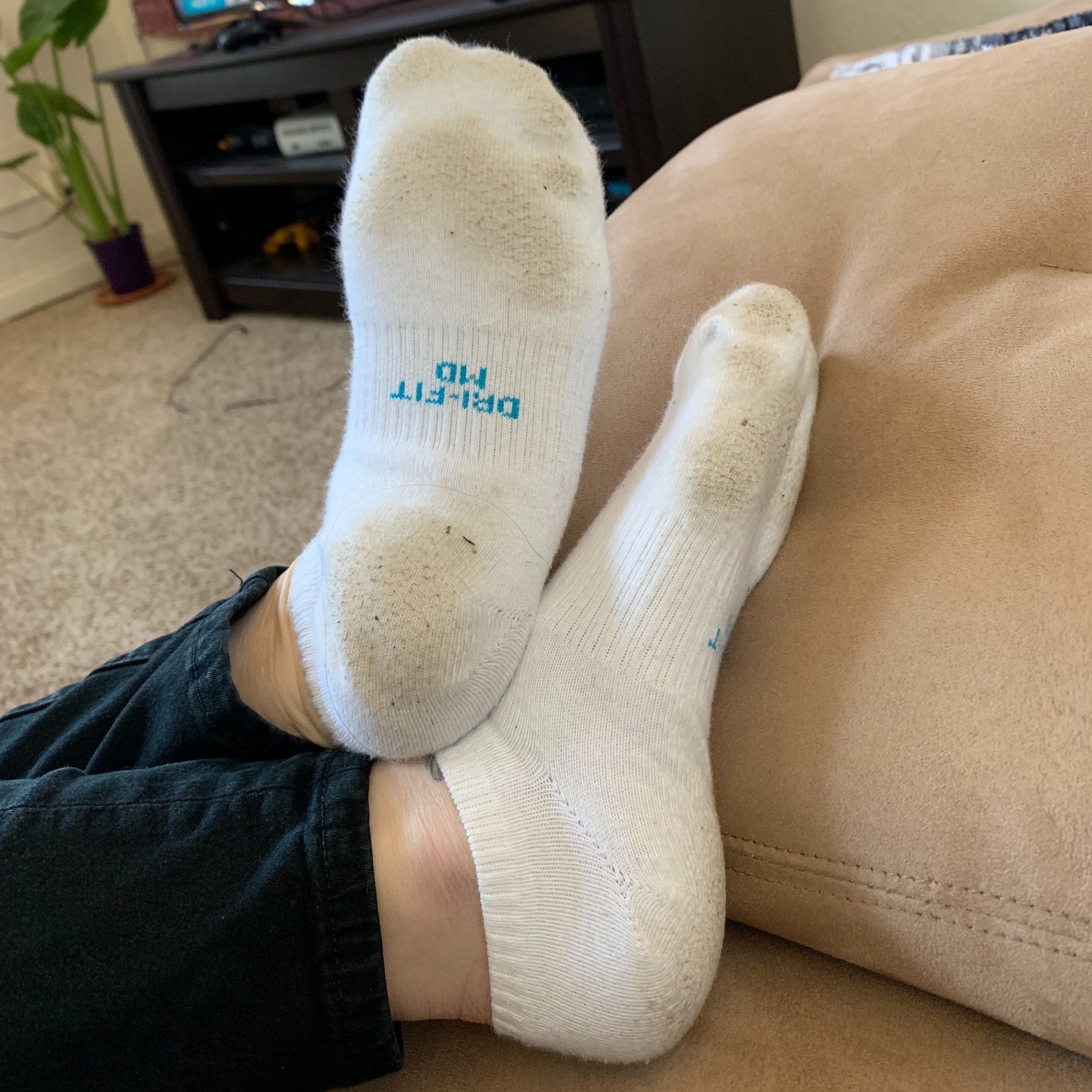 3 Days Worn Smelly Ankle Socks