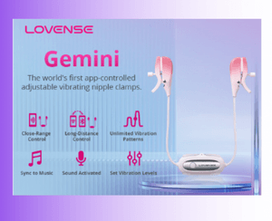 Gemini Lovense Toy