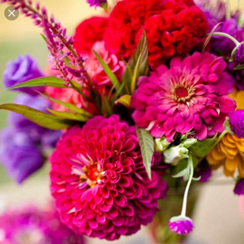 Gift Me: flowers