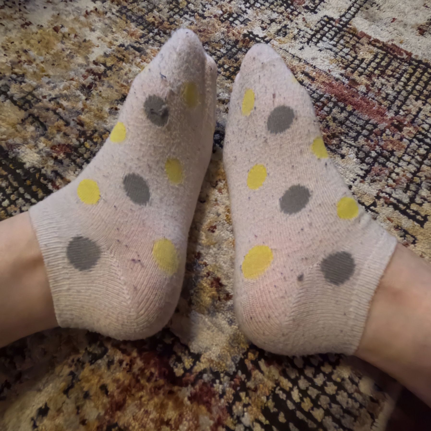 Polka Dot Socks Bundle