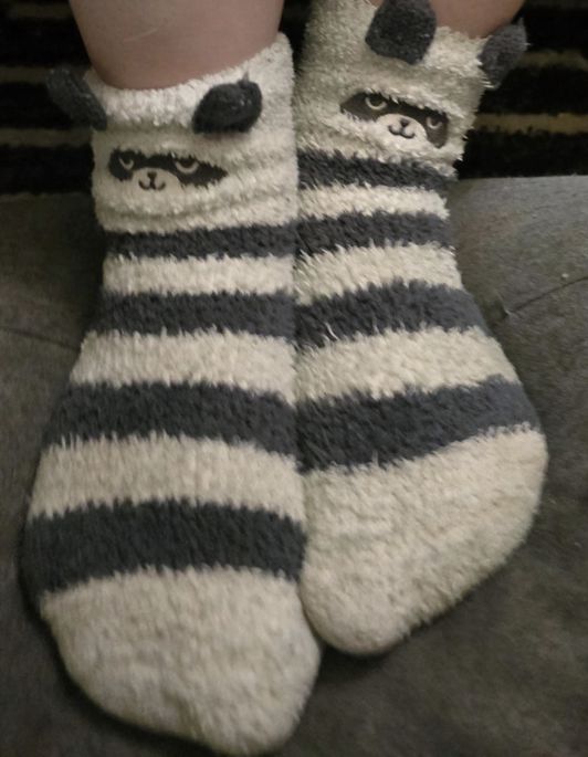 Fuzzy Panda Socks