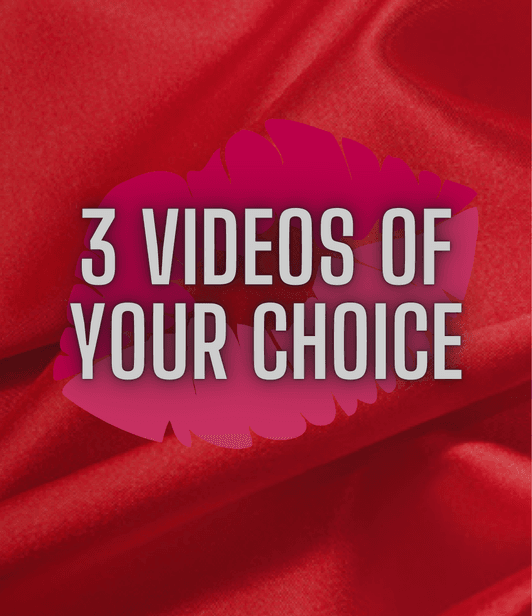 3 Vid Bundle