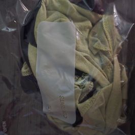 Yellow Panties