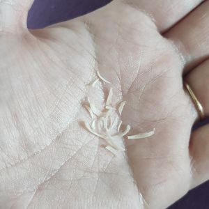 Toe nail cuttings